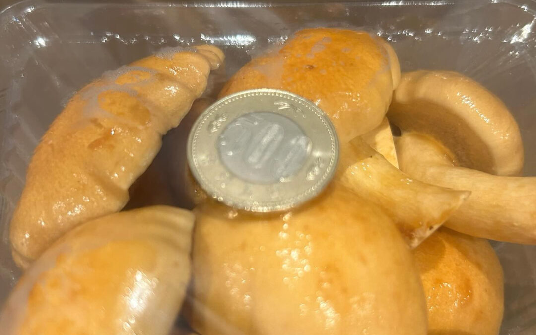 ついに届きました✨