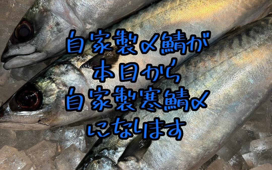 山田家の自家製しめ鯖が寒鯖が入荷できるうちは寒鯖で提供致しま