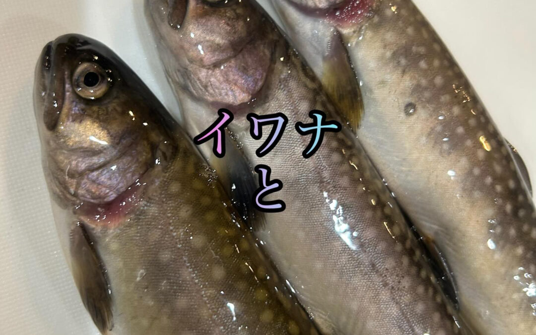 本当にこのまま梅雨明けしちゃうのではと思う暑さ
