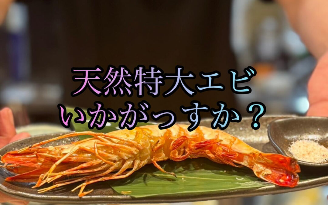 毎日暑い日が続いてます