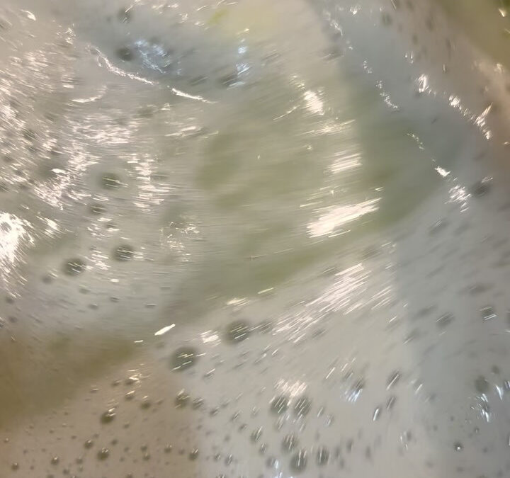 2日間お休みをいただき自然と同化してきました