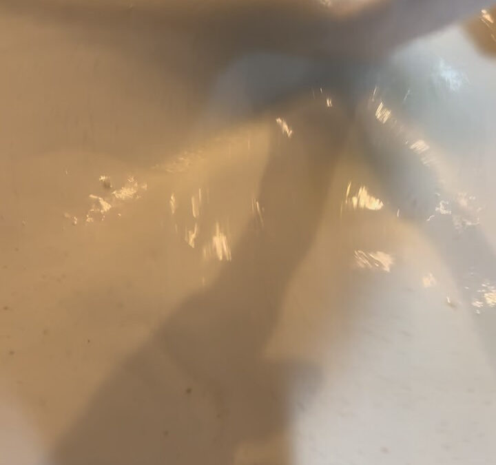 冷たいスープのお通しもそろそろ暖かい物に変えようかな