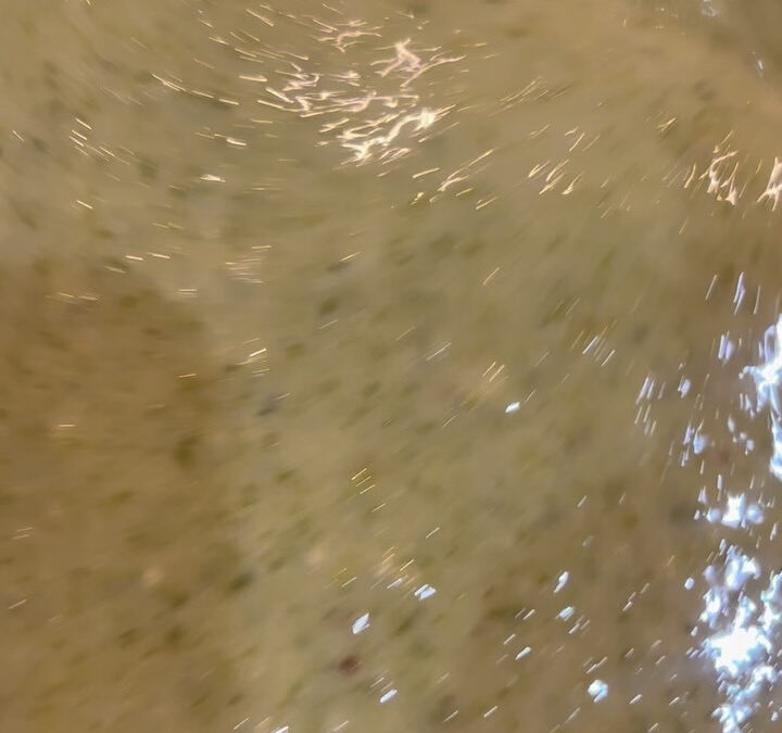 今日は雨が降りそうで降らない