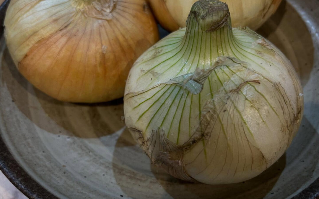 お正月営業で昼からオープンしたおかげで日本にいながら時差ぼけ