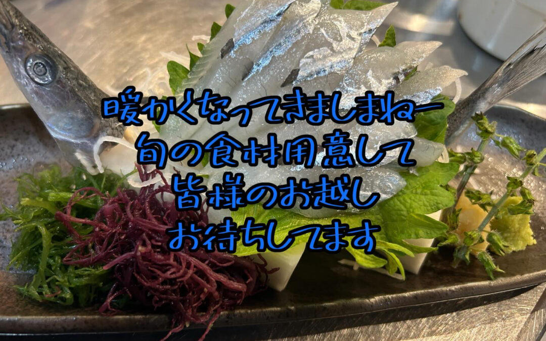 桜も咲き始めて来ました