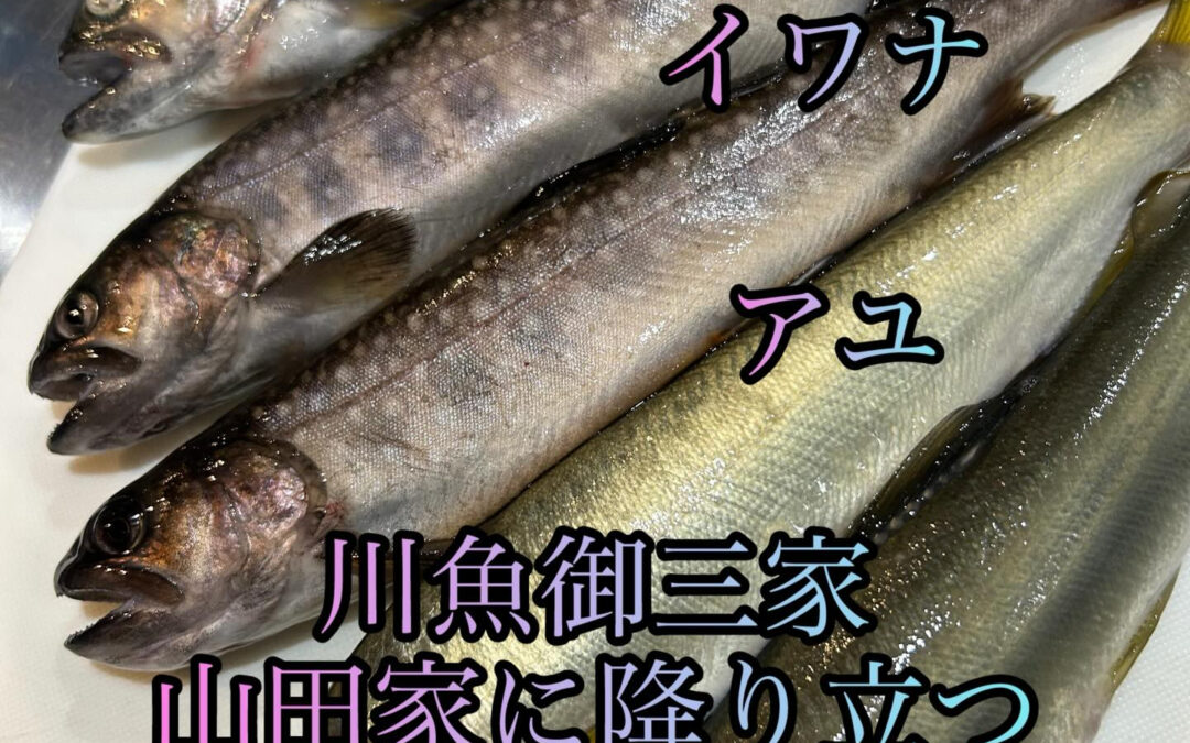 季節の巡りはとても早くもう山田家恒例の川魚の季節