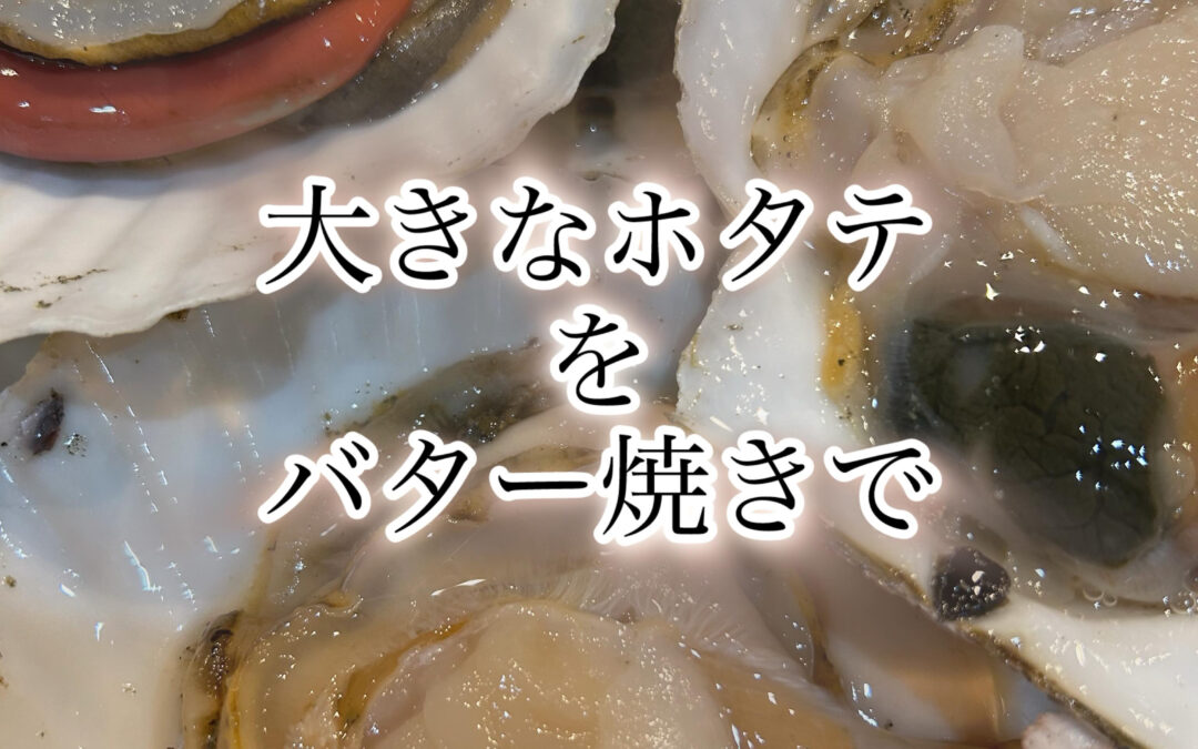 大きなホタテを発見
